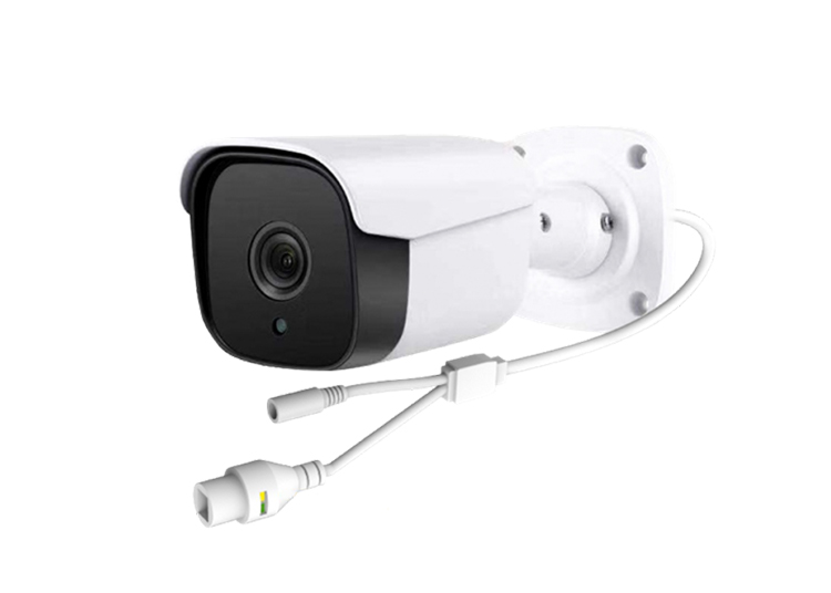 Smart IP Camera(POE version)